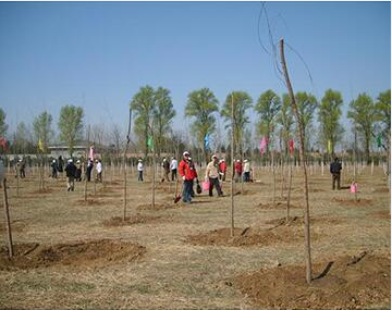 15006020602192872dTL.png blob.png